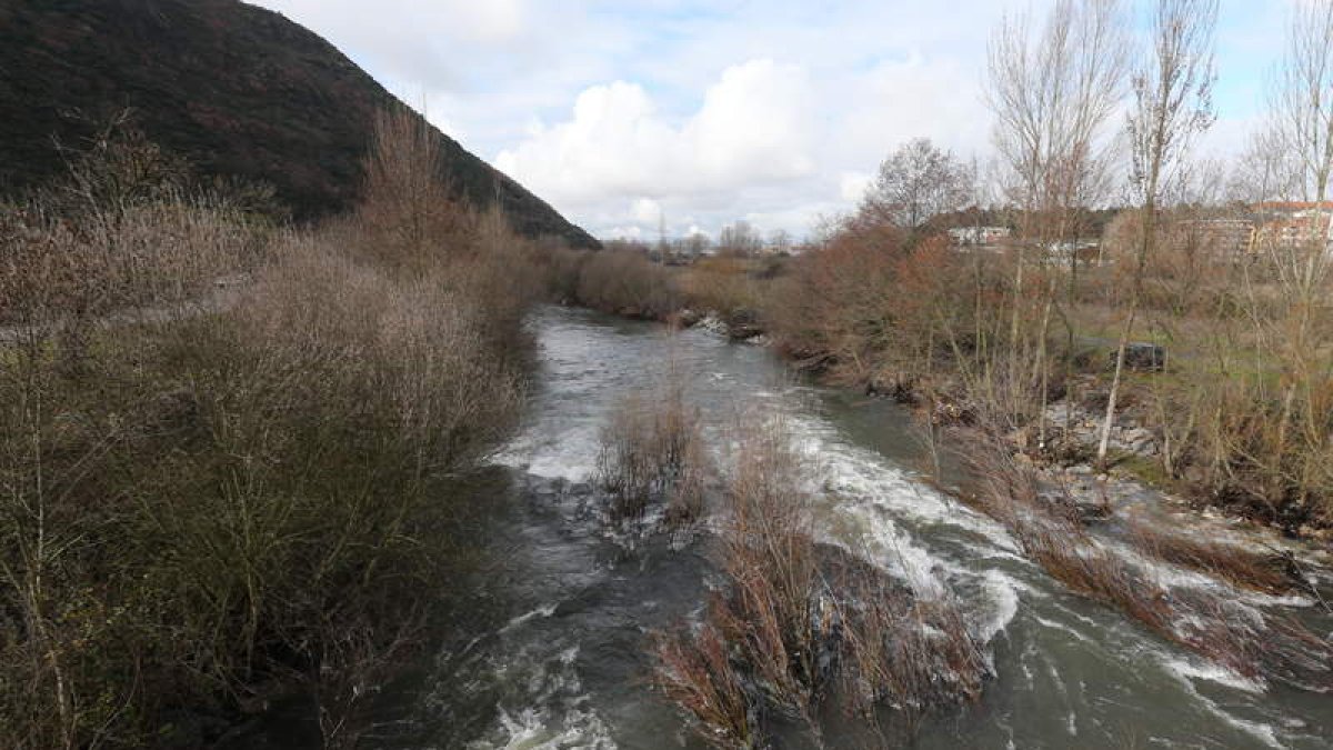 El río Sil a su paso por Ponferrada. L. DE LA MATA