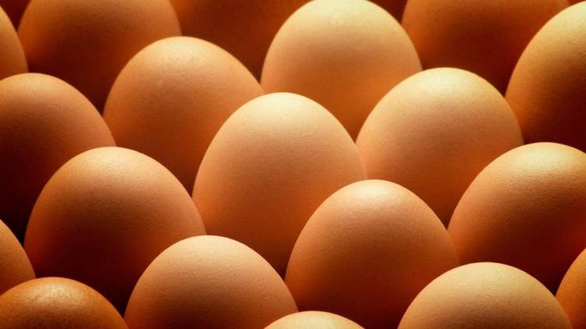 Huevos de ave con destino al consumo humano. efe