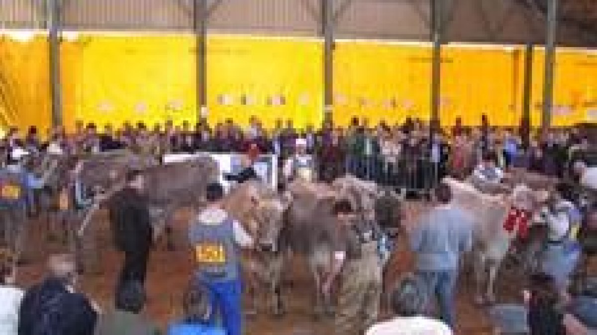La subasta congregó numeroso público de toda la comarca