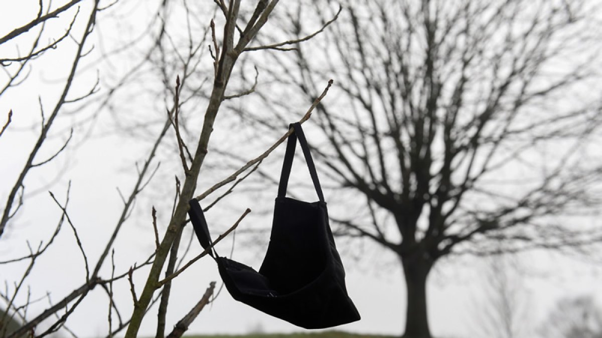 Una mascarilla abandonada en la rama de un árbol. ÁLVARO FRESNEDA / EFE