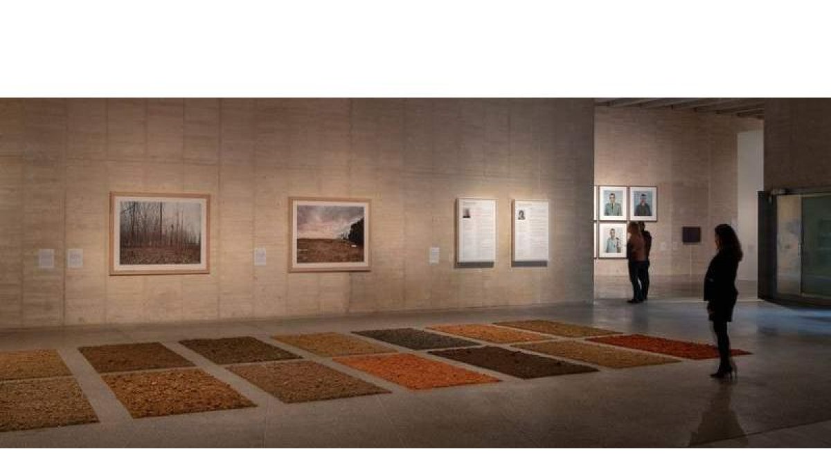 Cinco itinerarios con un punto de vista, la actual exposición, que puede visitarse de miércoles a domingo con entrada gratuita. DL