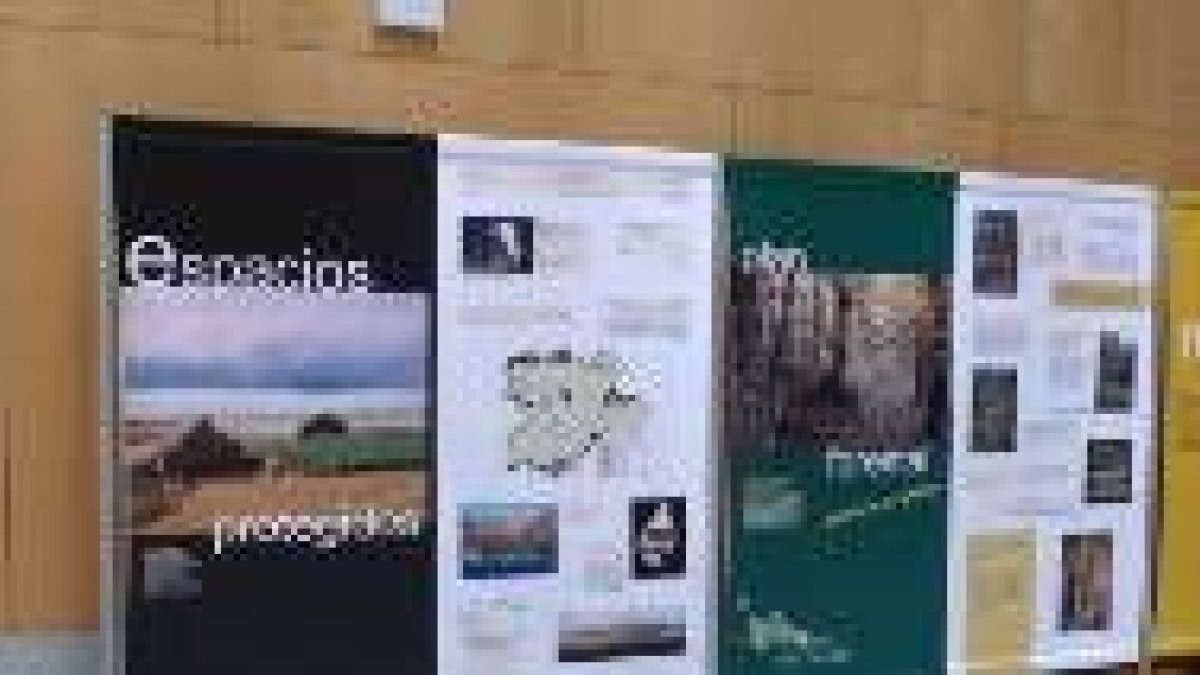 Una de las imágenes que se pueden contemplar en la exposición