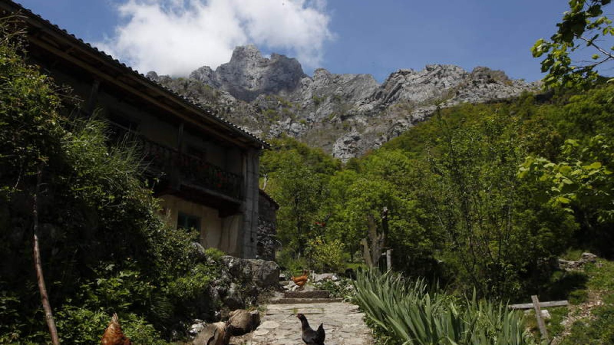 El tema de este año versa sobre los bosques de Picos. JESÚS F. SALVADORES