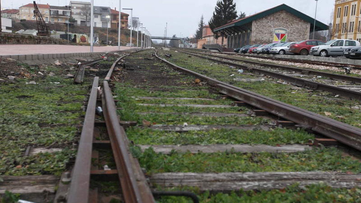 Un tramo de la vía de la Plata en las afueras de La Bañeza. RAMIRO