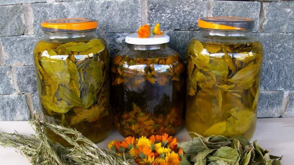 Plantas medicinales y hierbas aromáticas que cultiva Naturkamo en Carrocera para elaborar sus jabones, geles, cremas y champús naturales. En la otra página, Karen Palacios con la lavanda de su huerto, todo ecológico. web Naturkamonaturkamo@hotmail.com 689