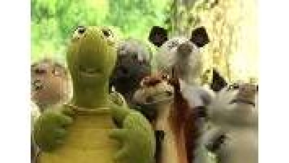 Admirables son el diseño, las texturas y los fondos