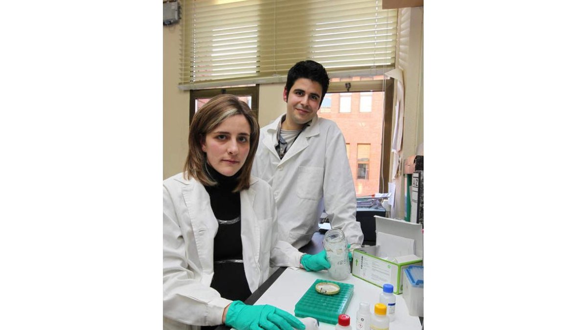 María Esther Nistal y Alberto Caminero participan en el proyecto de investigación.