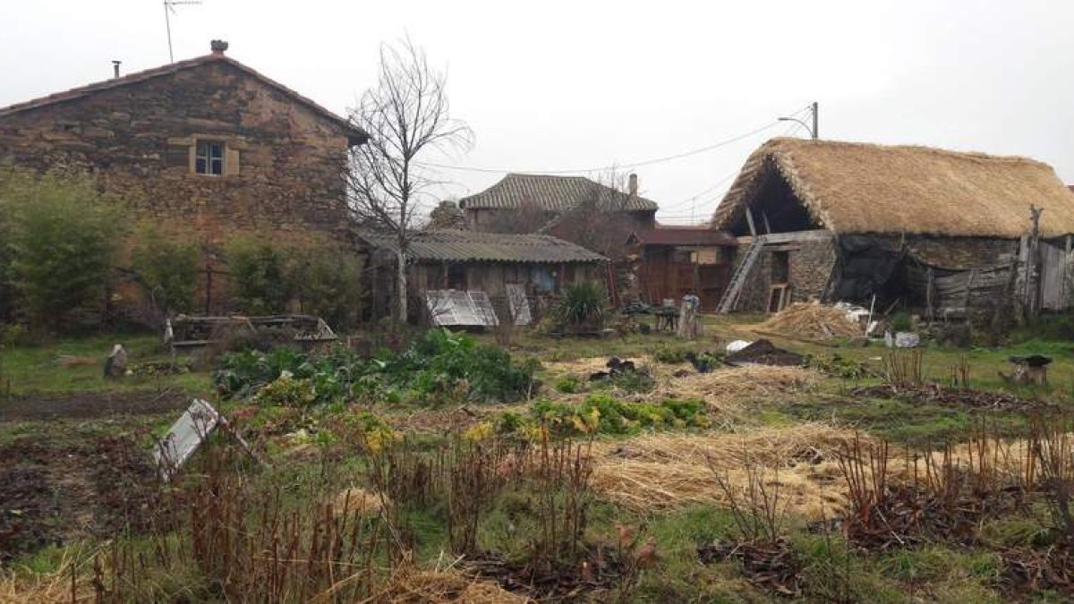 Tejado de paja reconstruido en San Martín del Agostedo, localidad de Santa Colomba de Somoza, gracias a las ayudas de la Diputación. DL