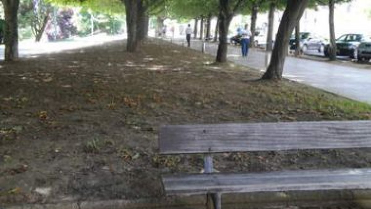 Estado de los jardines del paseo de La Condesa.