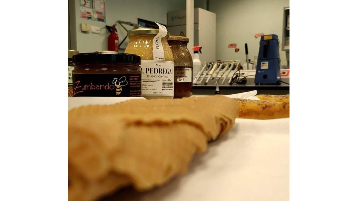 Algunas de las muestras analizadas por el Grupo de Investigación Tesea. uva
