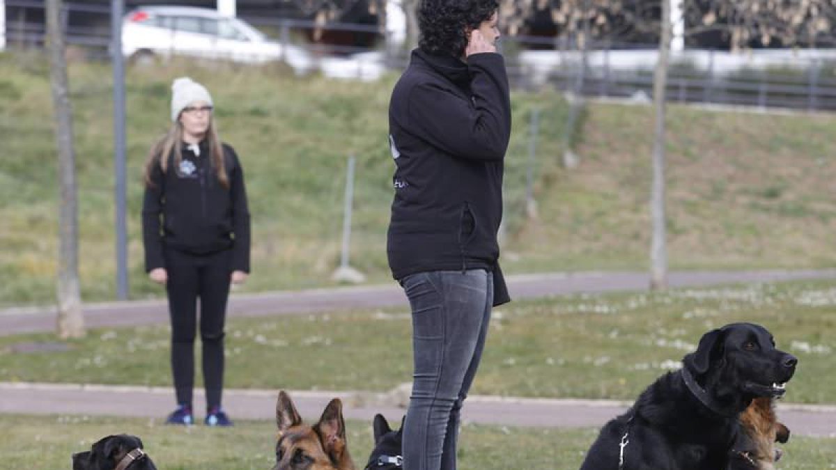 Las terapias con perros disminuyen el estrés y reducen los niveles de ansiedad.