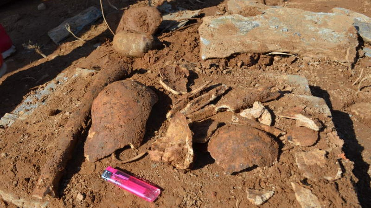 Algunos de los huesos humanos aparecidos en las tumbas. MEDINA