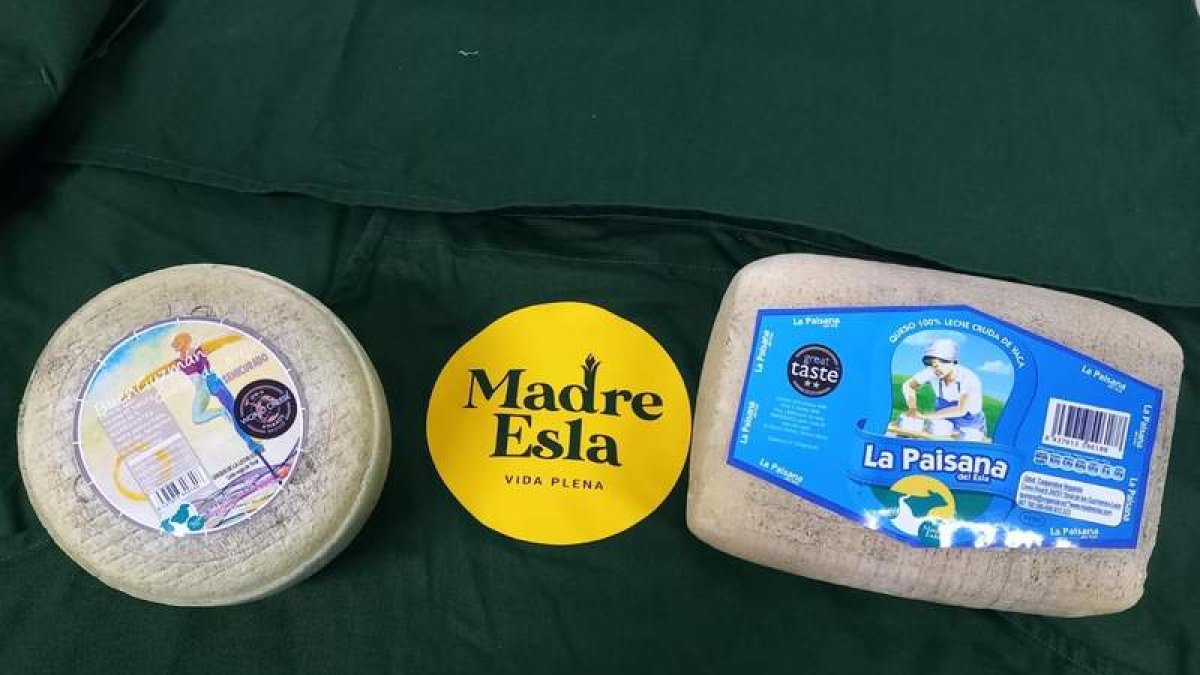 Los dos quesos premiados de Madre Esla: BuenGuzmán y La Paisana del Esla. DL