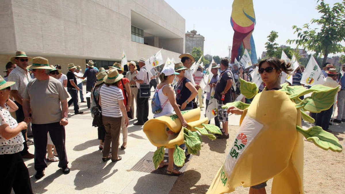 Los agricultores convocados por la Alianza por la Unidad del Campo se concentran en las Cortes.
