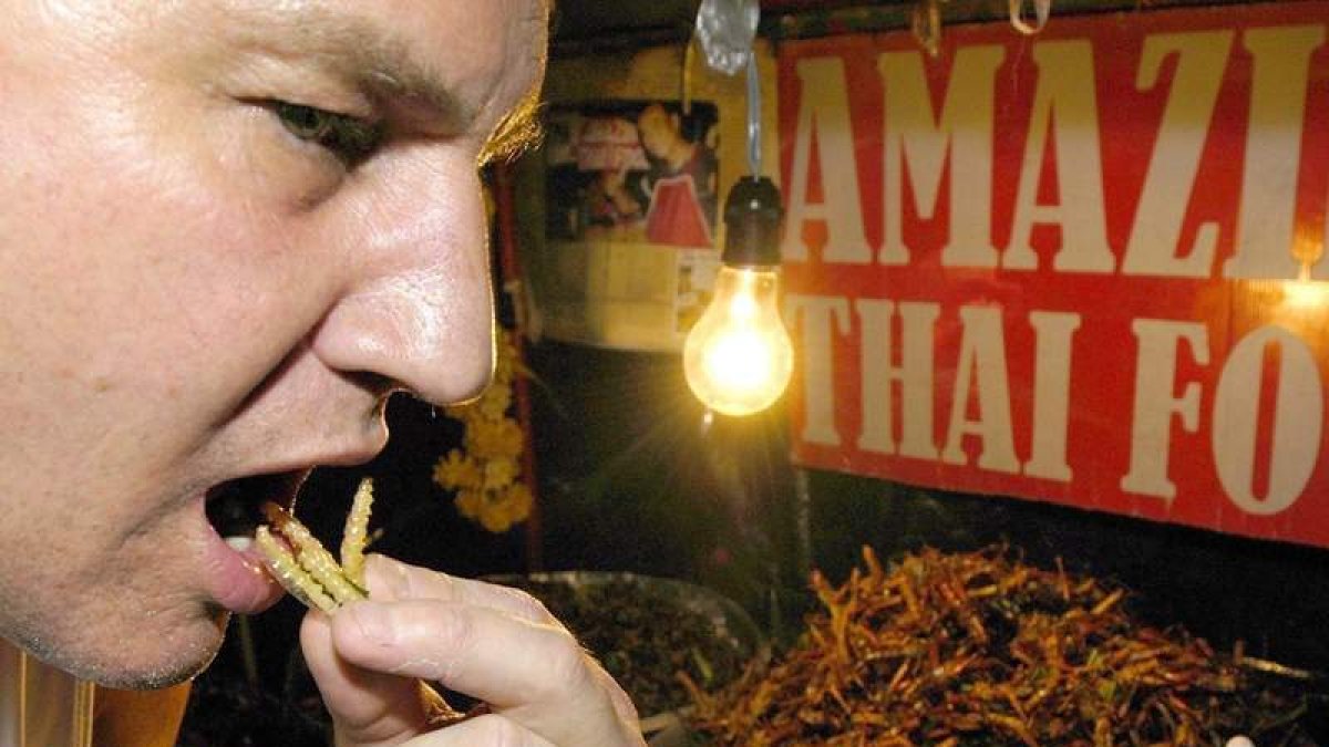 Un hombre prueba gusanos fritos en un puesto de comida en Bangkok.
