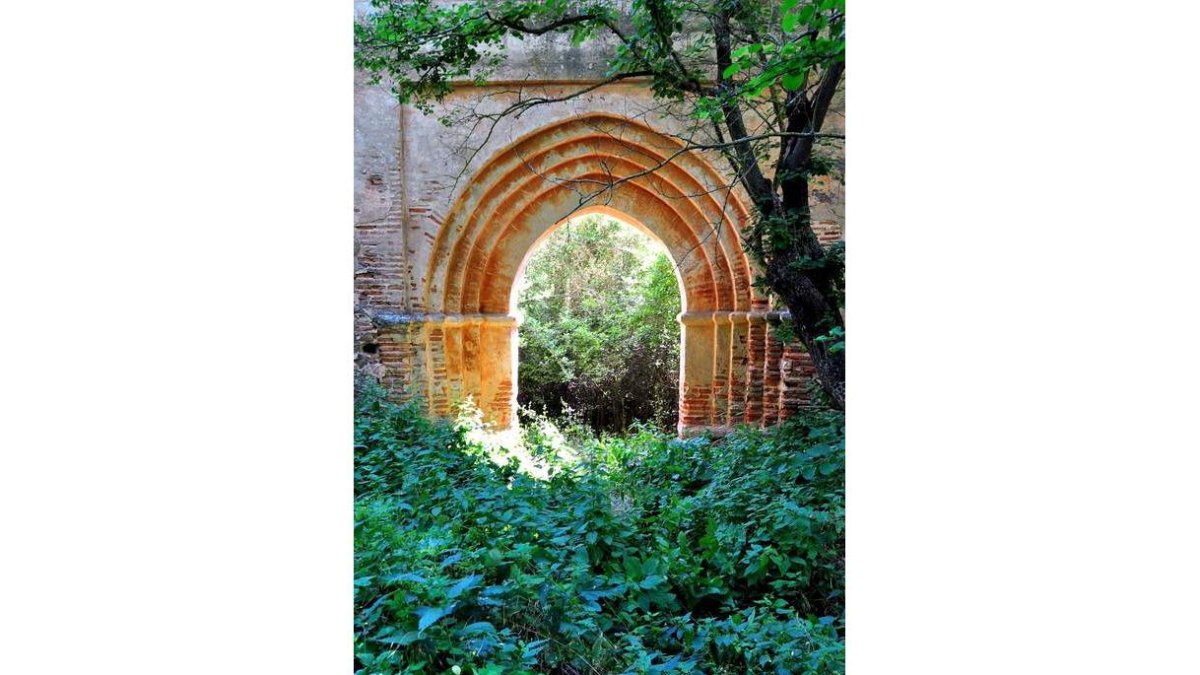 Ruinas del monasterio de Santa María de Nogales. DAVID G. LÓPEZ