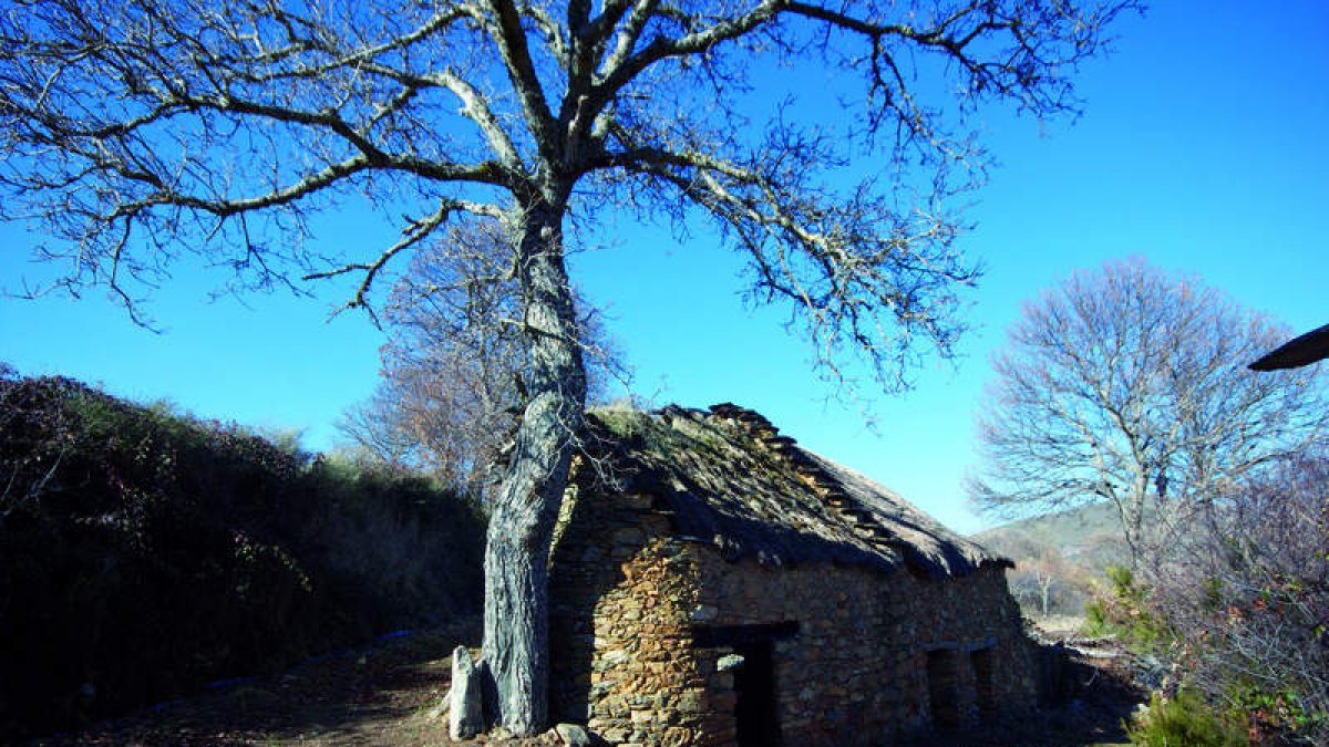‘Payar’ de Villar del Monte.