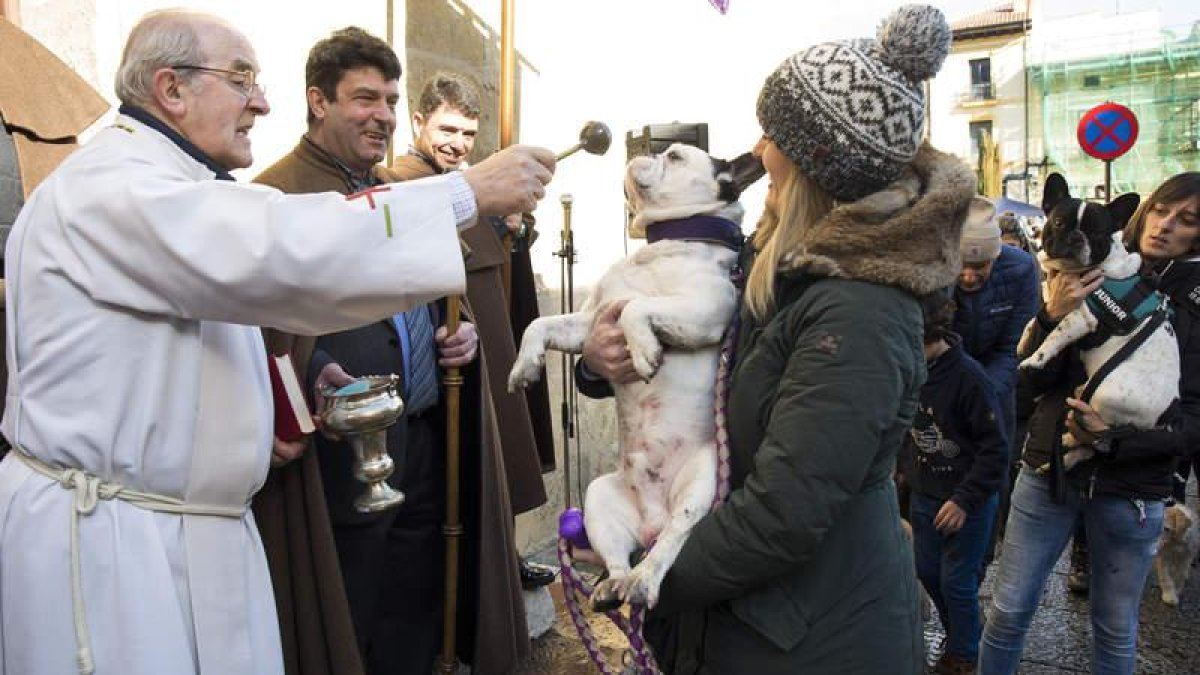 El párroco de San Marcelo bendice a uno de los perros que aguardaban en la plaza. FERNANDO OTERO