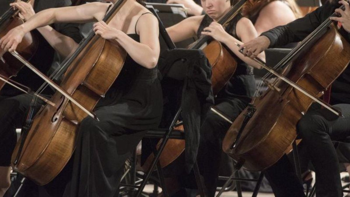 Músicos de una orquesta.