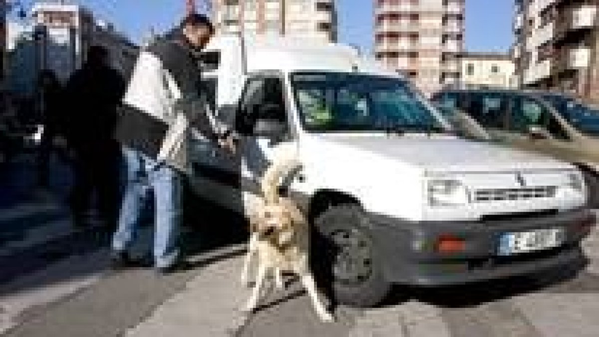 Katia es uno de los perros de la Guardia Civil adiestrado para detectar cualquier tipo de explosivo
