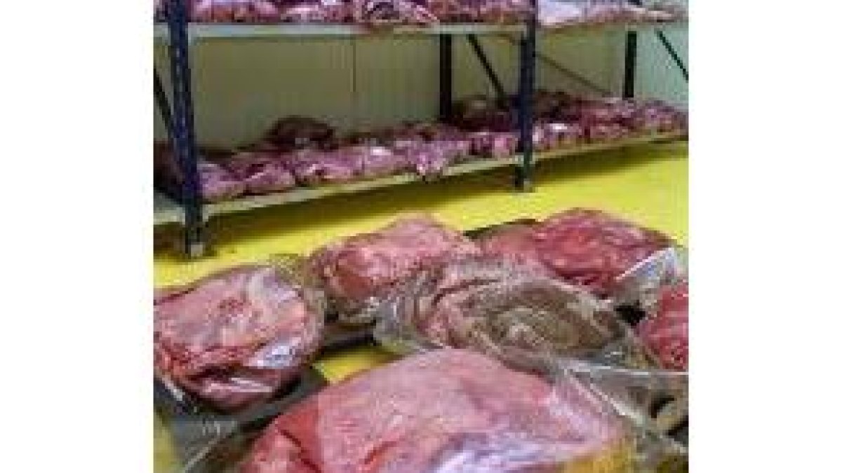 Carne de vacuno,  a la espera de entrar en la cadena de consumo