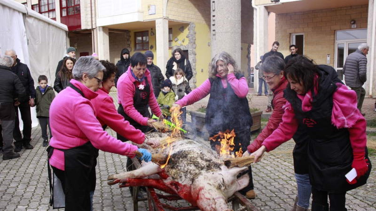 Las mujeres de Riaño quemando al gocho con paja. CAMPOS