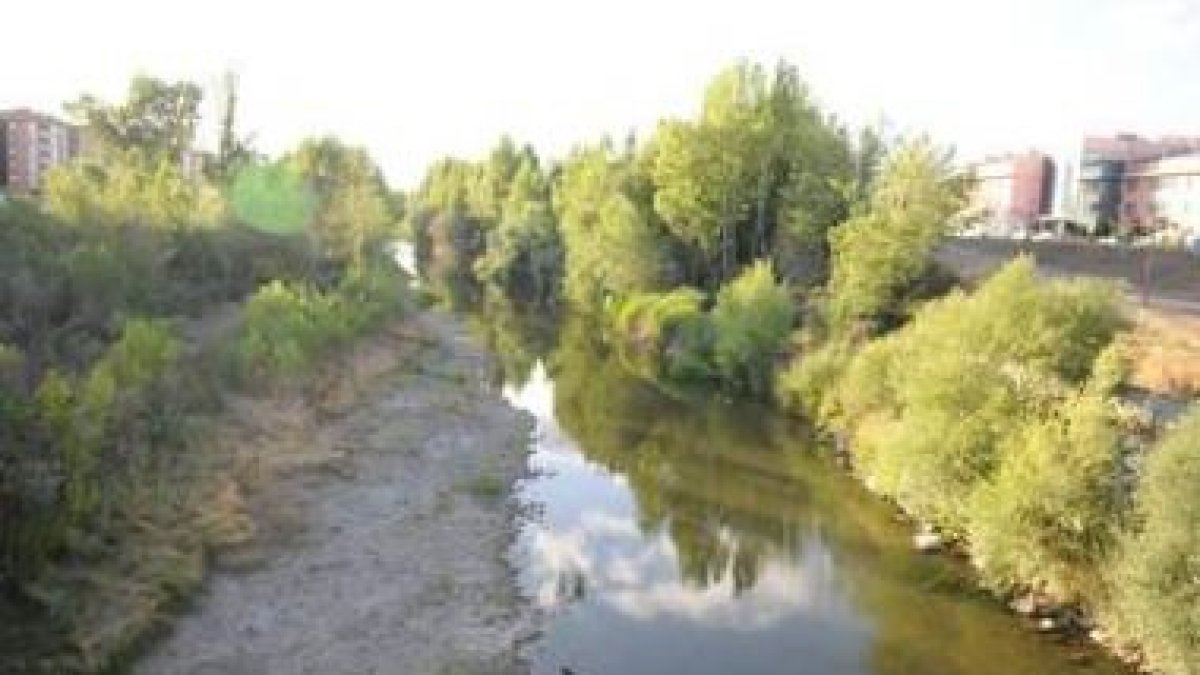 La actuación cubrirá 1,2 kilómetros al norte del puente del Área 17.