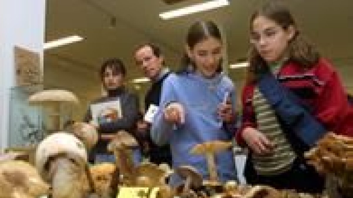 Las Jornadas Micológicas tienen un gran número de seguidores