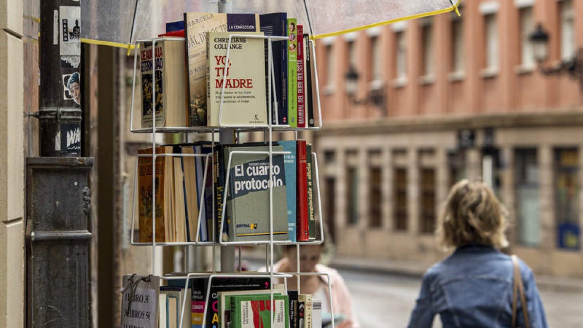 Muchos pueblos no tienen bibliotecas. RAQUEL MANZANARES