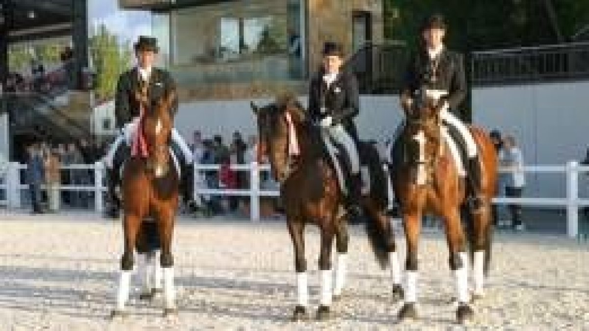 Los ganadores del Campeonato Territorial en la categoría de adultos