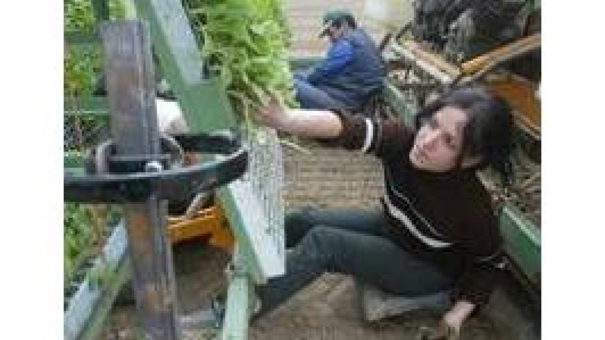 Una mujer realiza tareas de cultivo en Fresno de la Vega