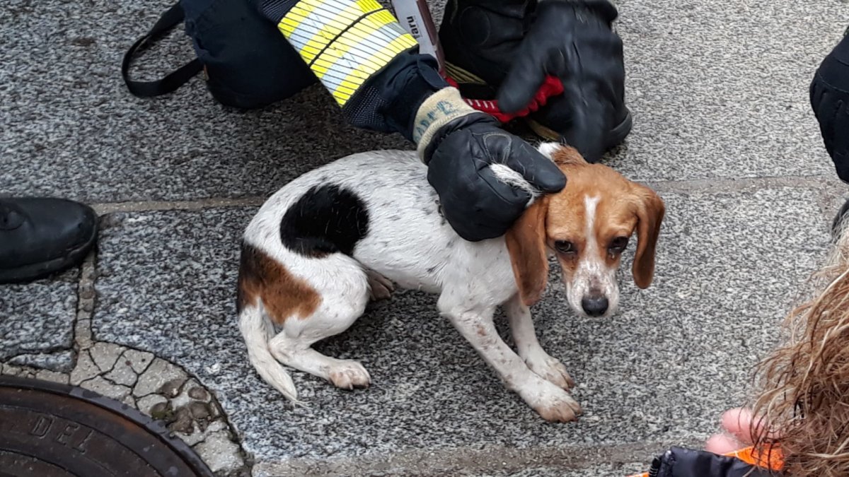 27c02e7d-48b7-4da3-a1e9-a2c7db5edb8c