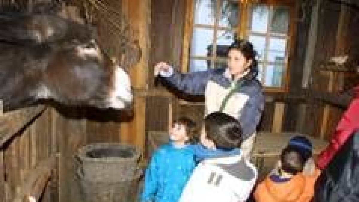 Los niños de la localidad, asombrados con los burros del belén
