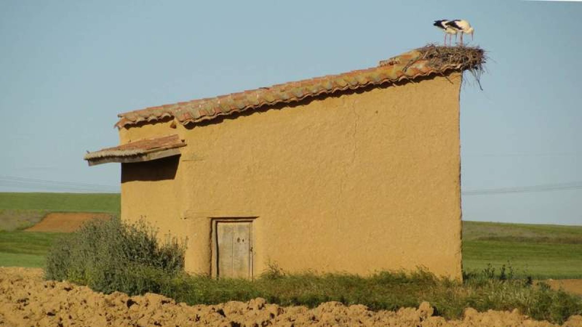 Palomar en Santas Martas. ASOCIACIÓN DE AMIGOS DE LOS PALOMARES