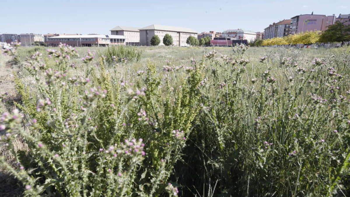 Imagen que presenta la parcela en la que se construirá el nuevo conservatorio de León. RAMIRO