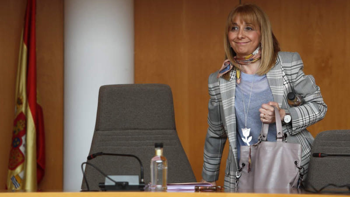 Gancedo apoya una auditoría del consumo de las farolas. JESÚS