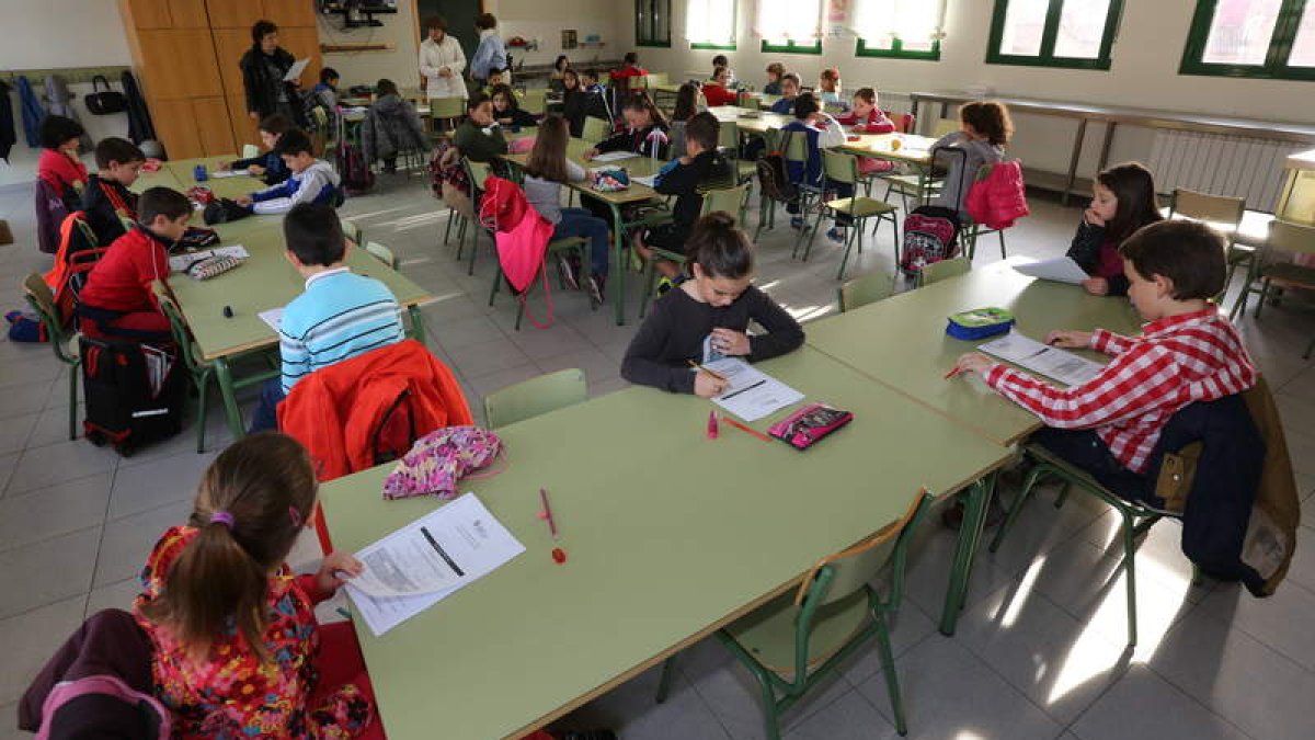 Los chavales entraron nerviosos al aula, pero desarrollaron la prueba con total normalidad; les cayó el oso pardo