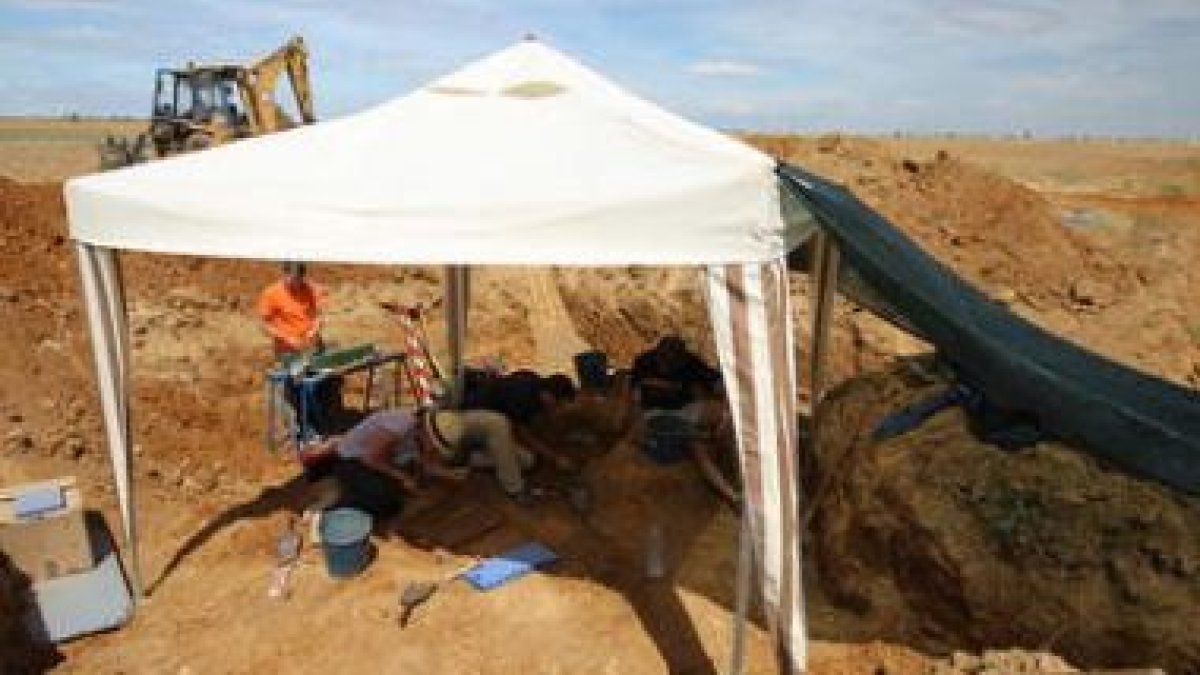 Trabajos de exhumación en una fosa en Albires.