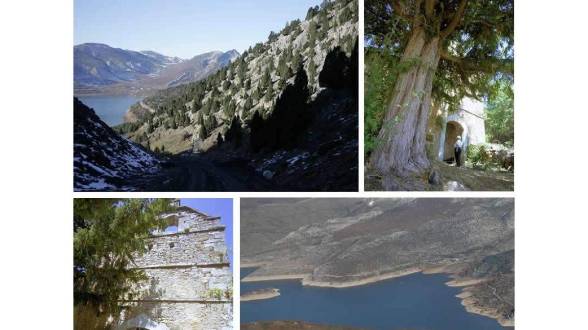 El sabinar de Mirantes de Luna, uno de los bosques ibéricos más genuinos, el tejo de Mirantes, la iglesia y el pantano de Luna,