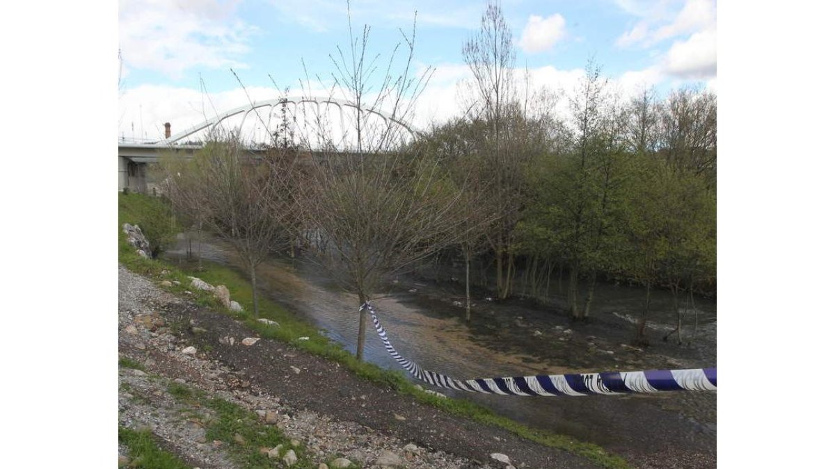 El río Sil, desbordado en Ponferrada esta primavera.