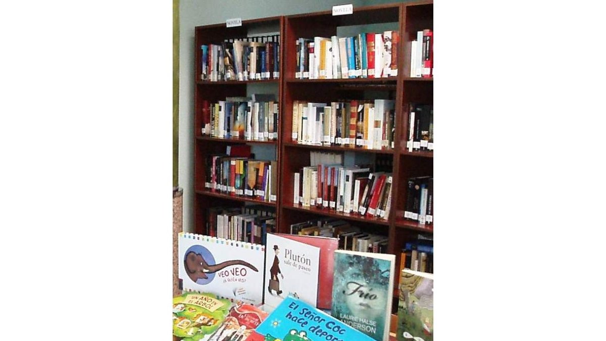 Los colegios deben disponer de biblioteca y utilizarla. ARCHIVO