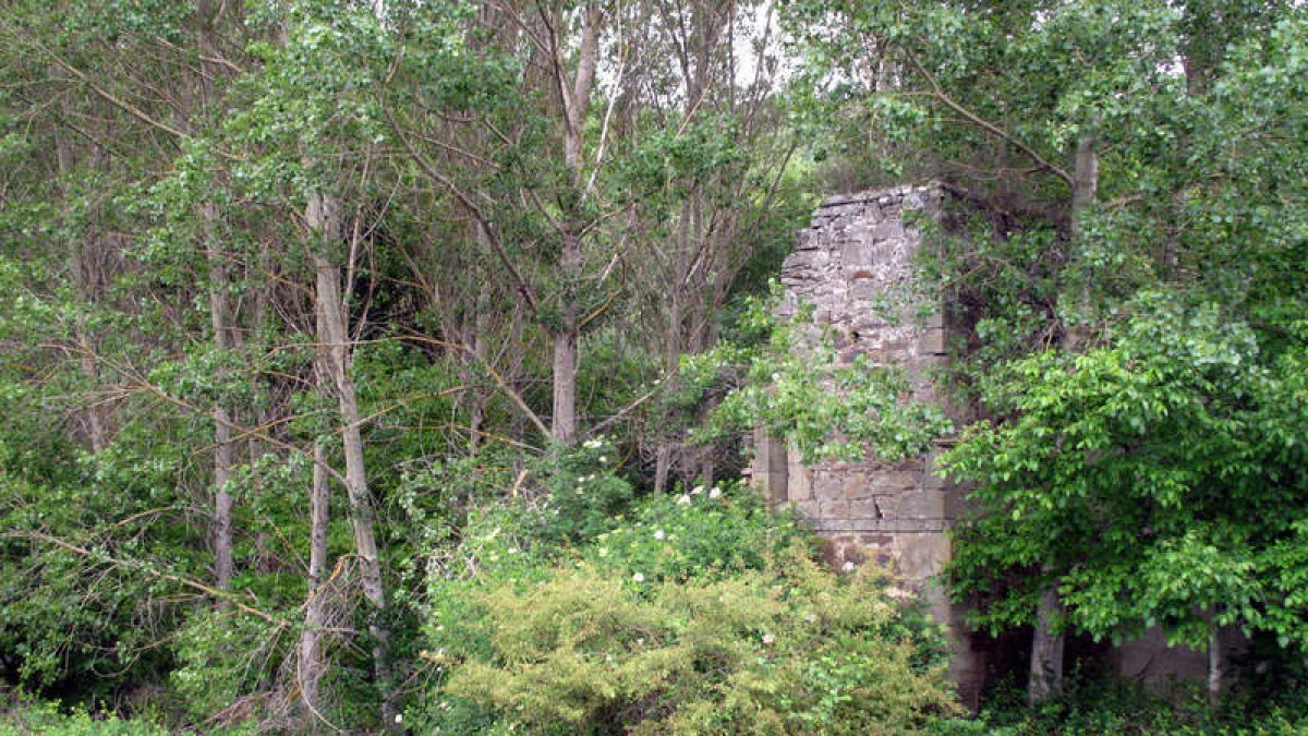 Imagen de archivo del monasterio de Cerezal. DL