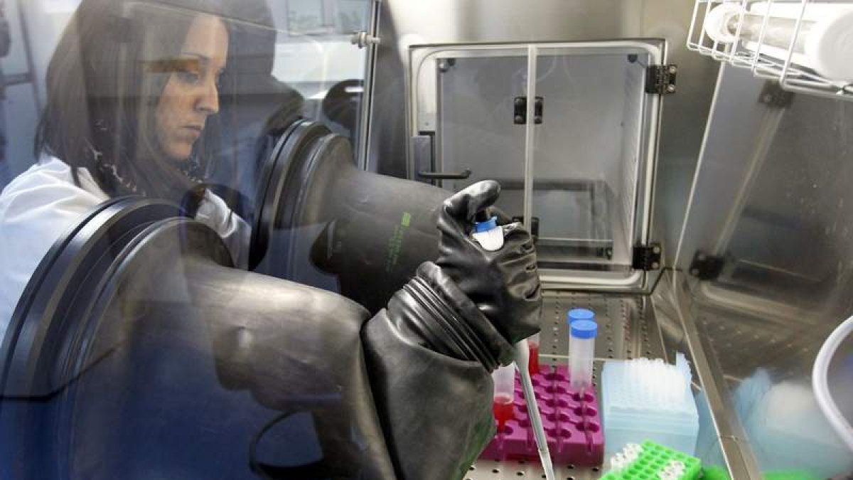 Detalle del laboratorio para la producción con células madre de órganos bioartificiales.