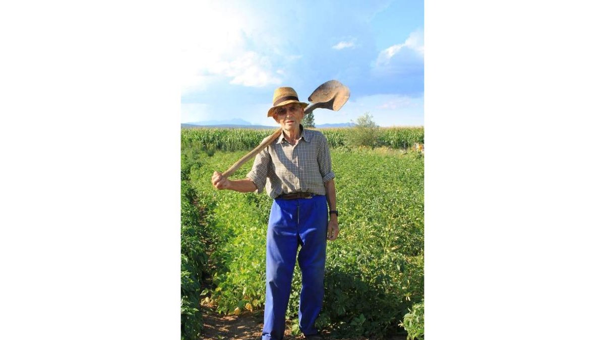 Augusto Díez posa entre las verduras de su huerta en Vegas del Condado.
