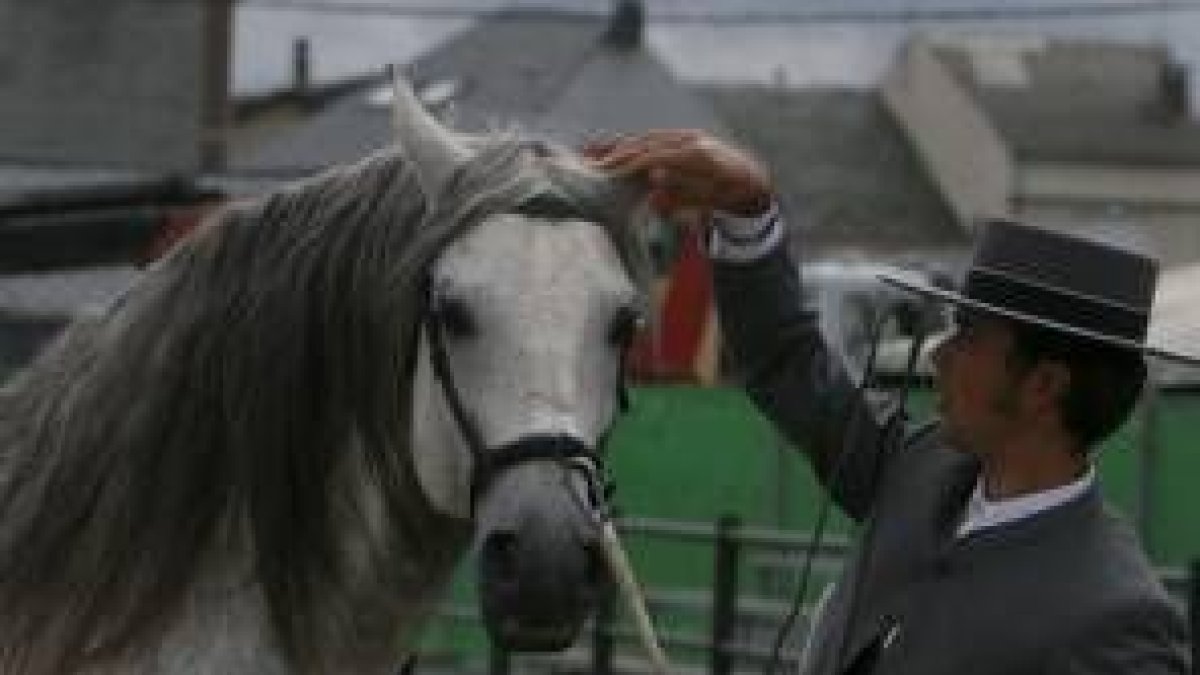 Los caballos son este fin de semana protagonistas en Camponaraya