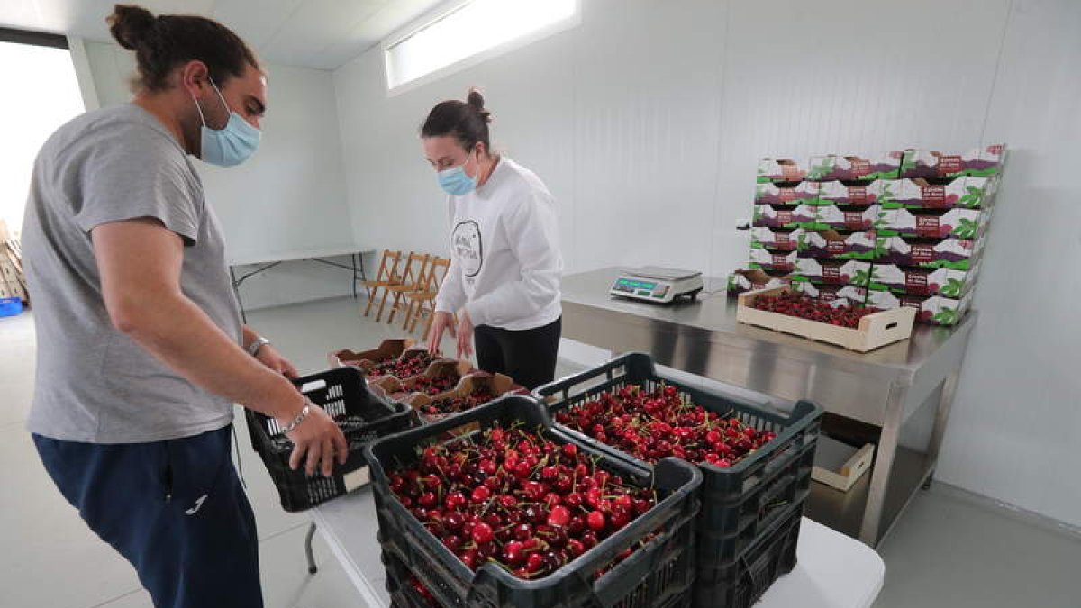 Jóvenes trabajando en el local cedido por el Ayuntamiento de Corullón. A. F. B.