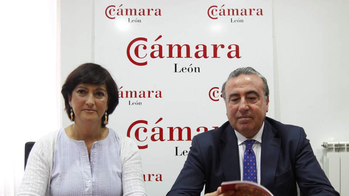Yolanda Lescún y Alfredo Martínez, ayer en la Cámara.