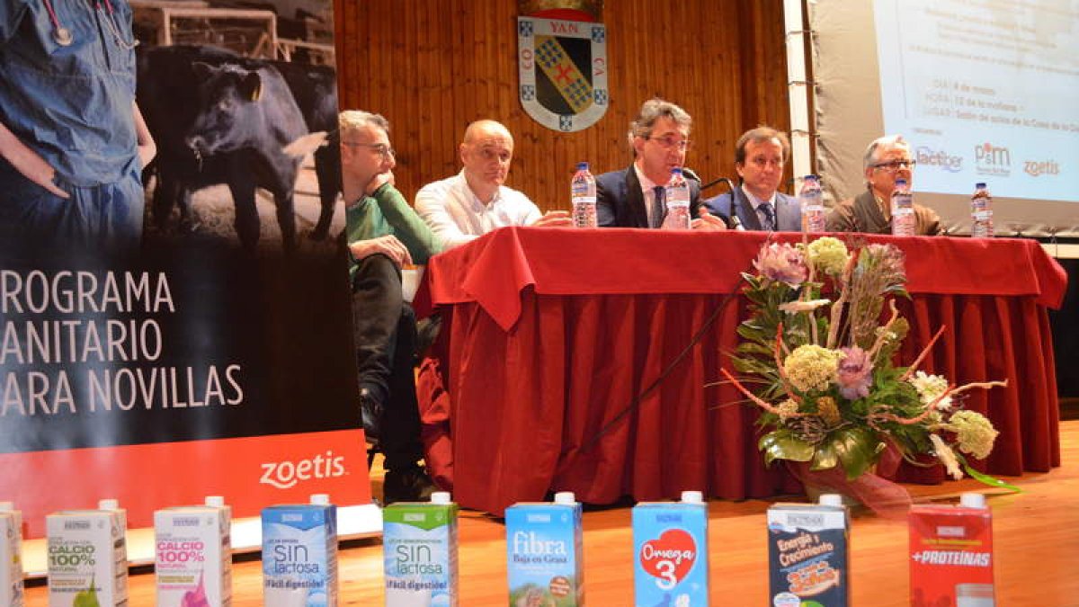 Jornada sobre vacuno de leche organizada ayer por Lactiber en Valencia de don Juan. MEDINA