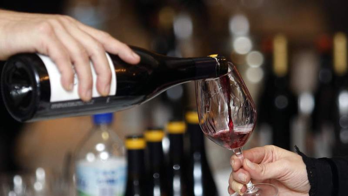 Imagen de archivo de una cata de vinos del Bierzo.