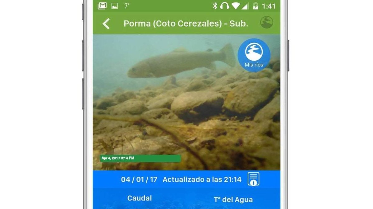 Una de las imágenes captadas en directo de un tramo de río. DL